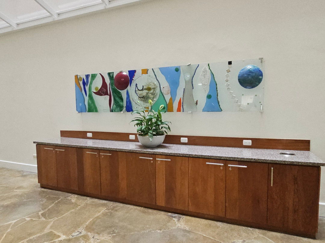 Radisson Hotel Santo Domingo主图