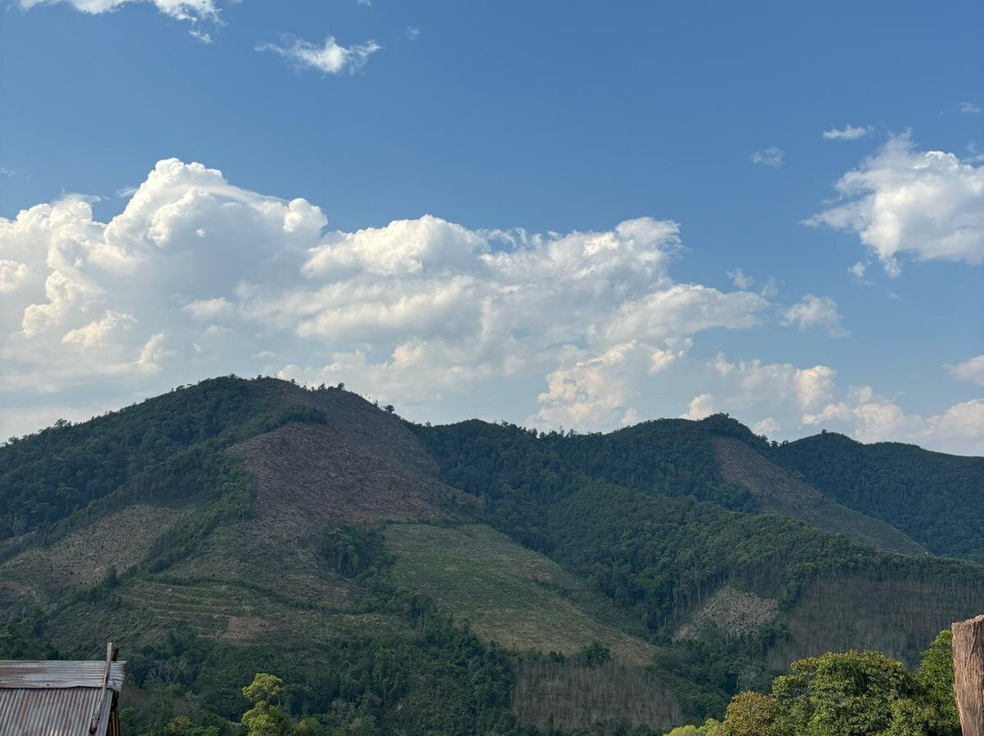 Into the Wild Laos-琅南塔必去景点