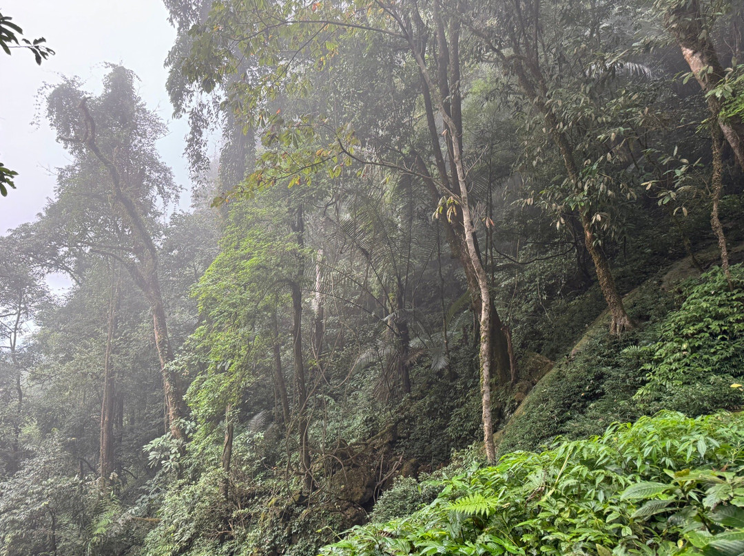 Sapa Tours Vietnam景点图片