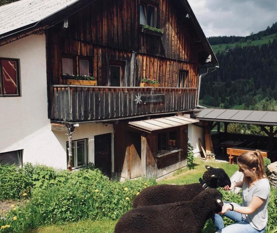 Zauneralm