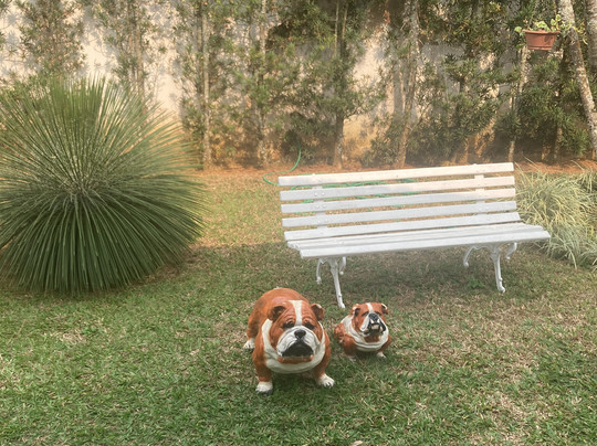 Pousada Nossa Terra主图