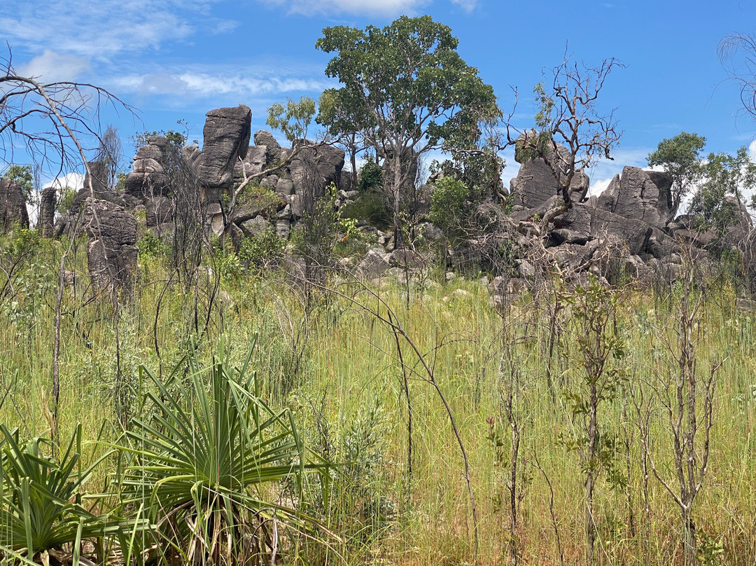 Litchfield National Park-达尔文市必去景点
