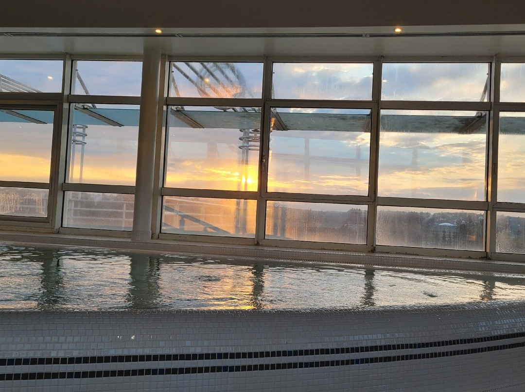 Vichy Celestins Thermal Spa景点图片