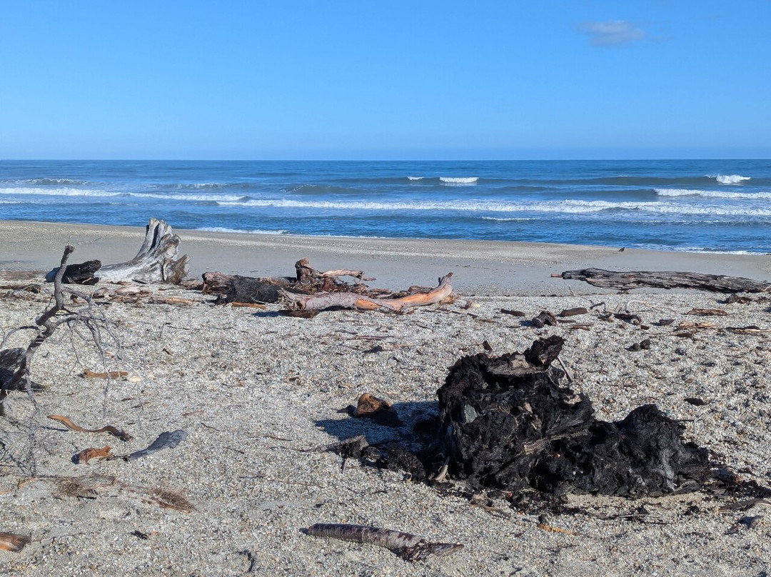 Haast Beach Motel主图