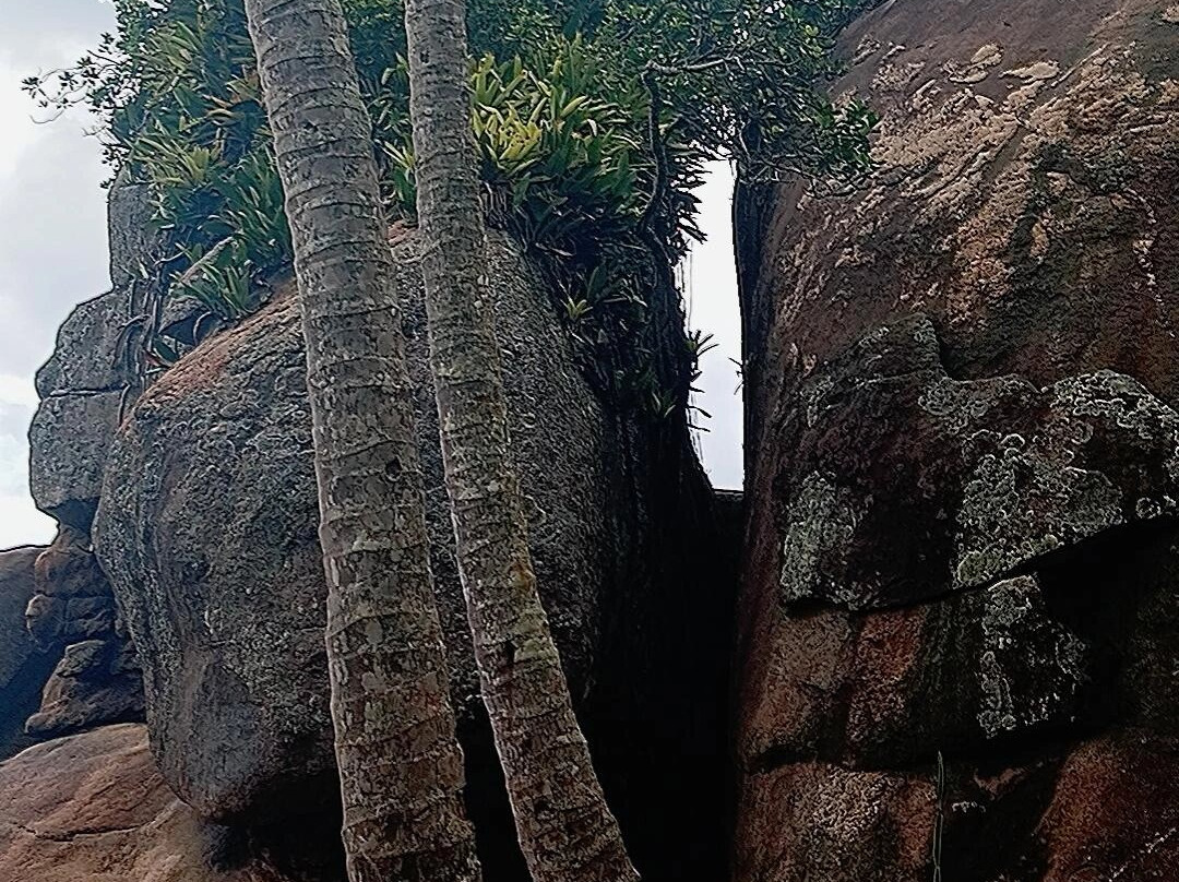 Praia do Portugues-乌巴图巴必去景点