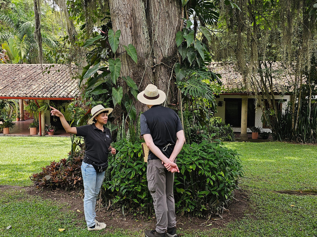 Hacienda Coloma景点图片