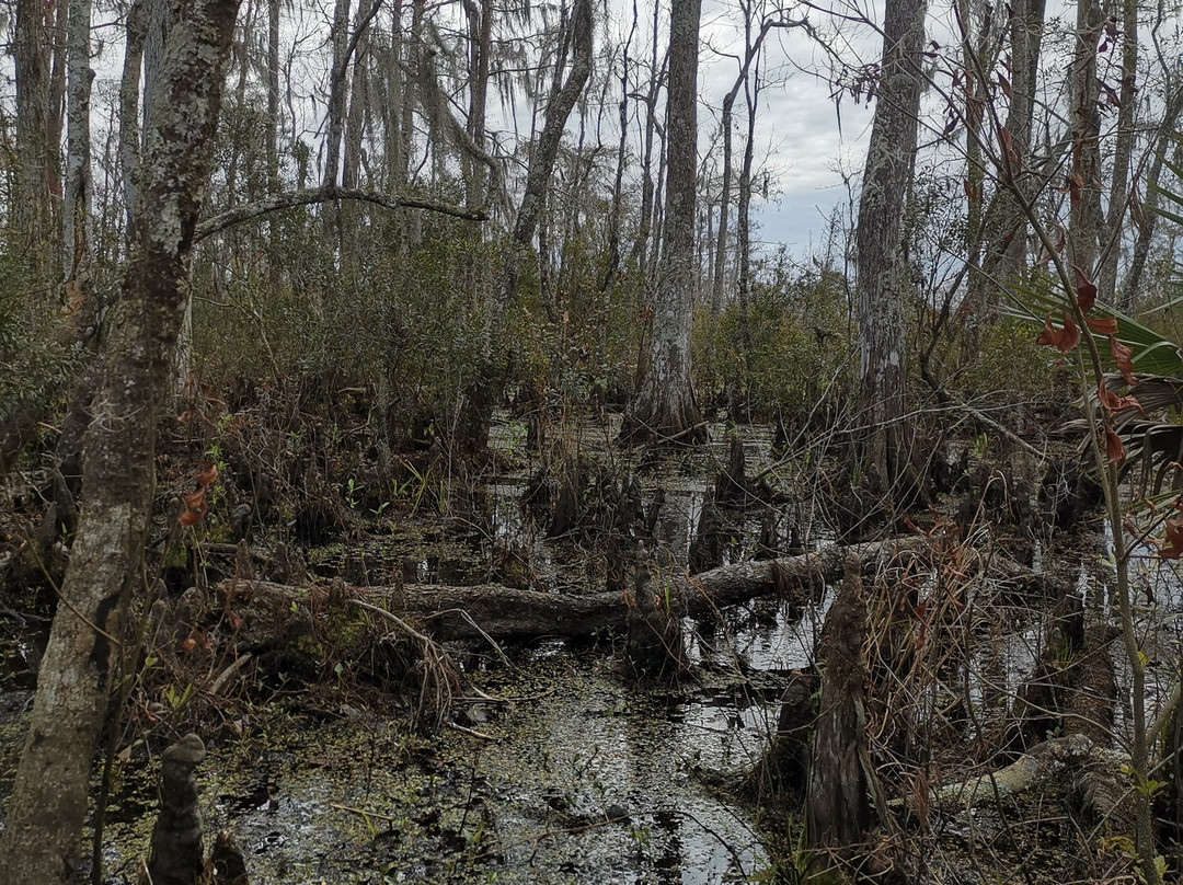 吉恩拉菲特国家历史公园和保护区-新奥尔良必去景点