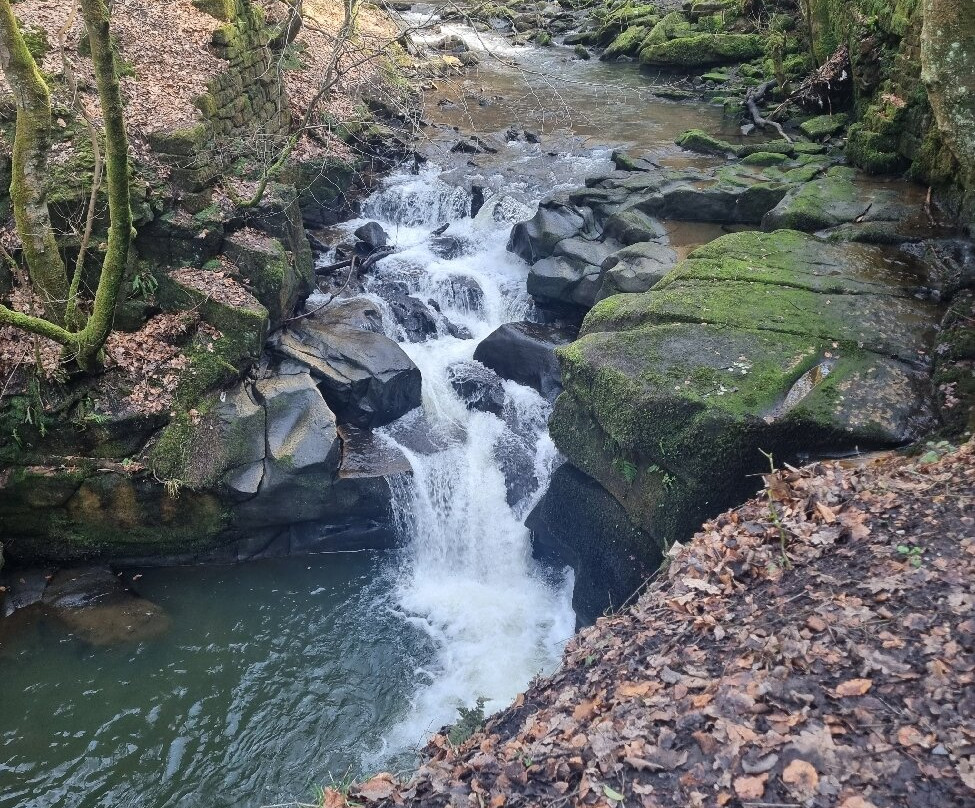 Healey Dell Nature Reserve景点图片