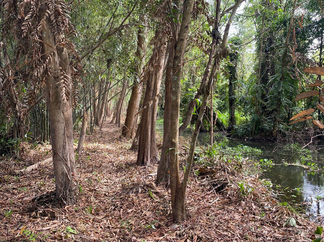 Mekong By Local-芹苴必去景点