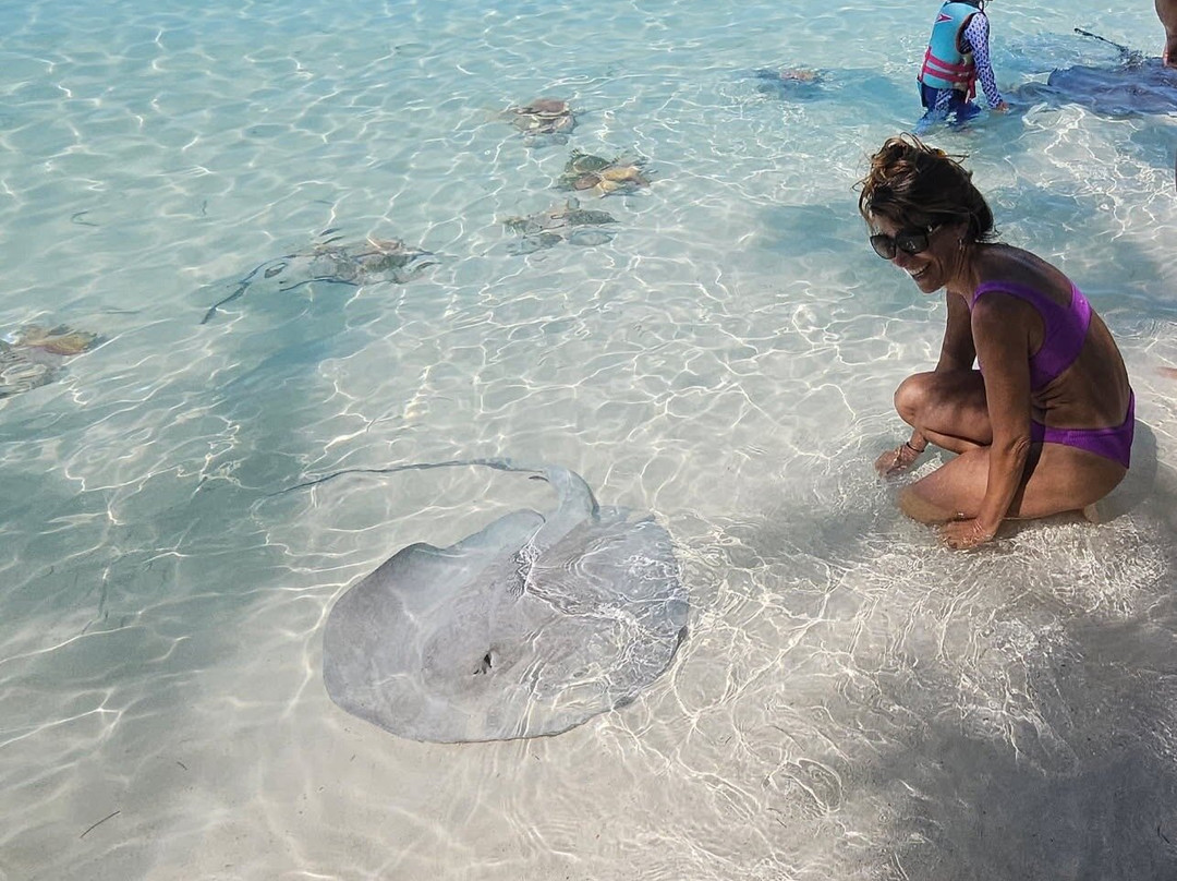 Turtle Divers-George Town必去景点