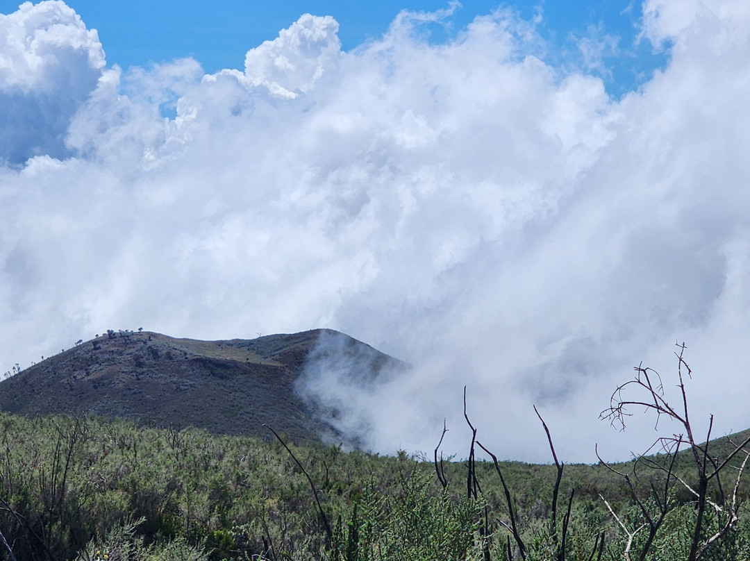 Blessing Safaris-阿鲁沙必去景点