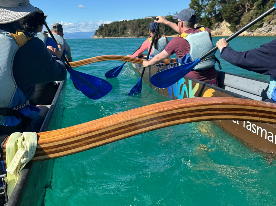 Waka Abel Tasman-凯特里特里必去景点