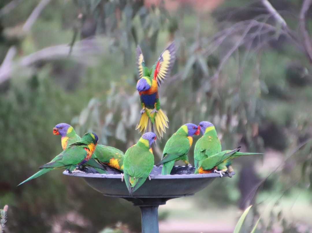 Commercial Golf Resort Motel主图