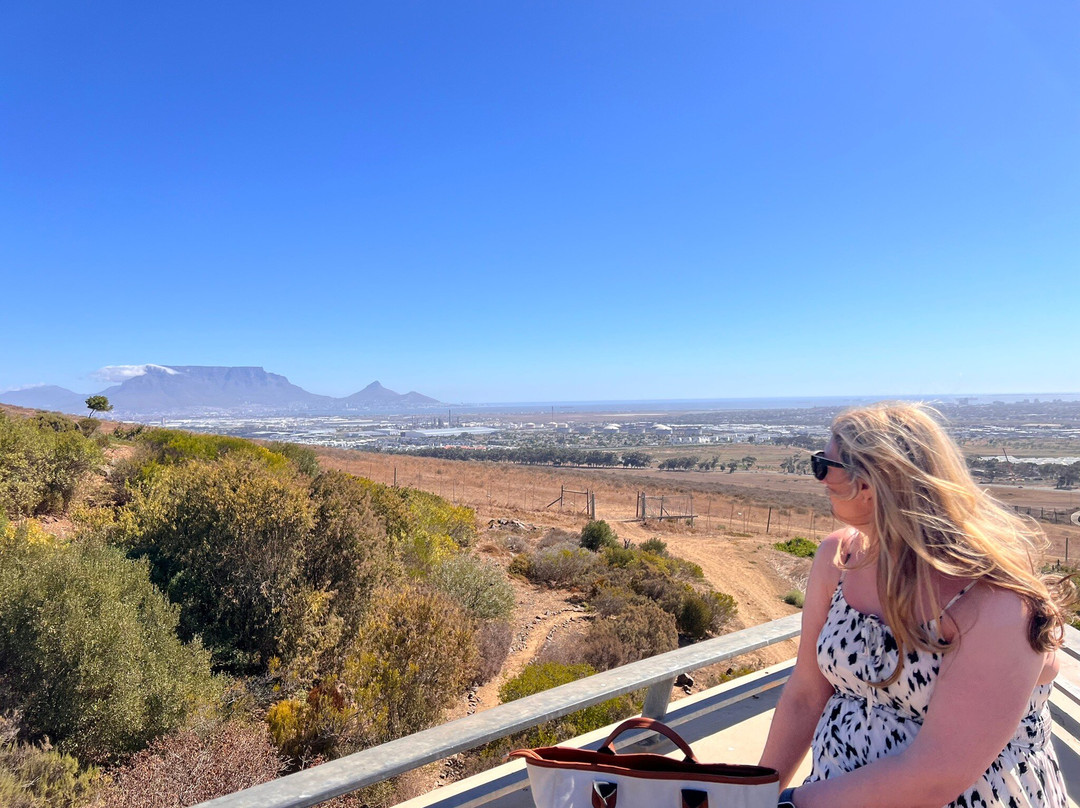 Durbanville Hills Wine景点图片
