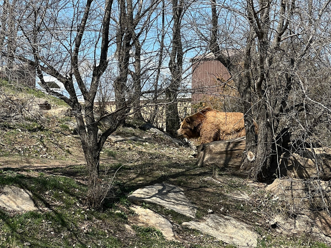 Sedgwick County Zoo景点图片