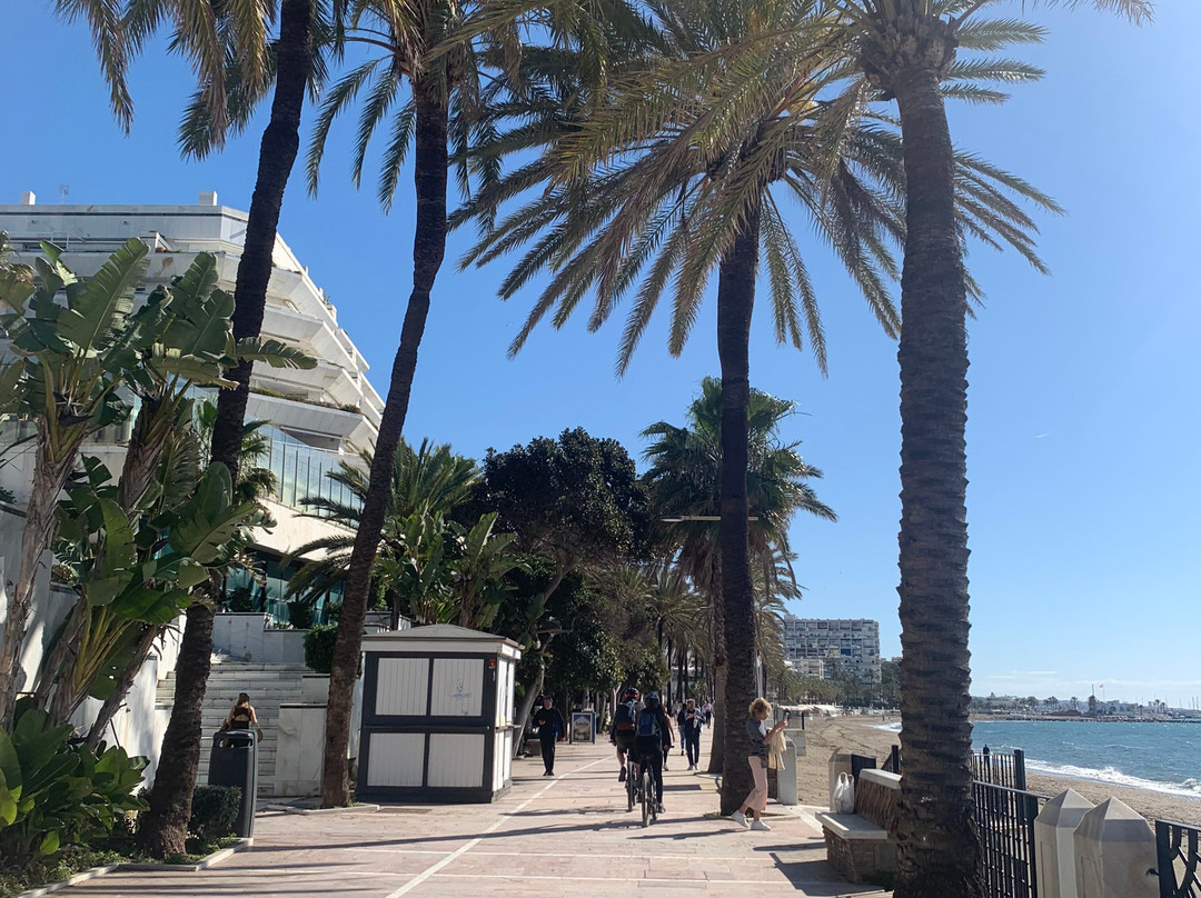 Playa de la Fontanilla景点图片