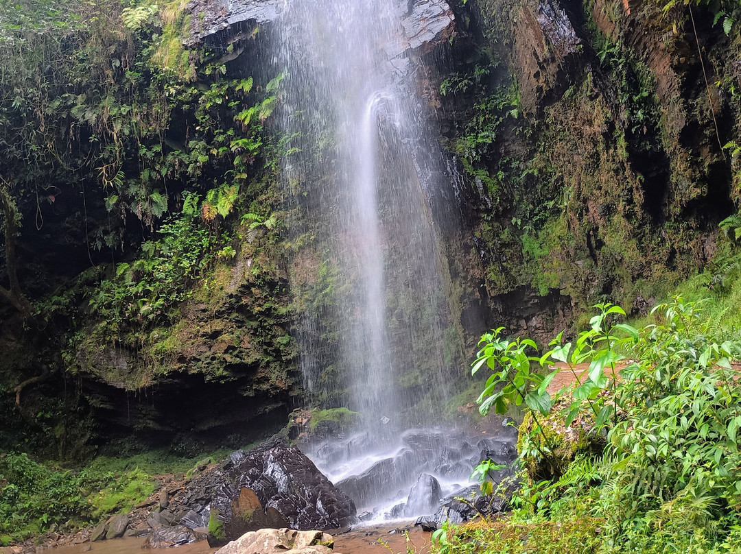 Cachoeira de São Bartolomeu-Sao Bartolomeu必去景点