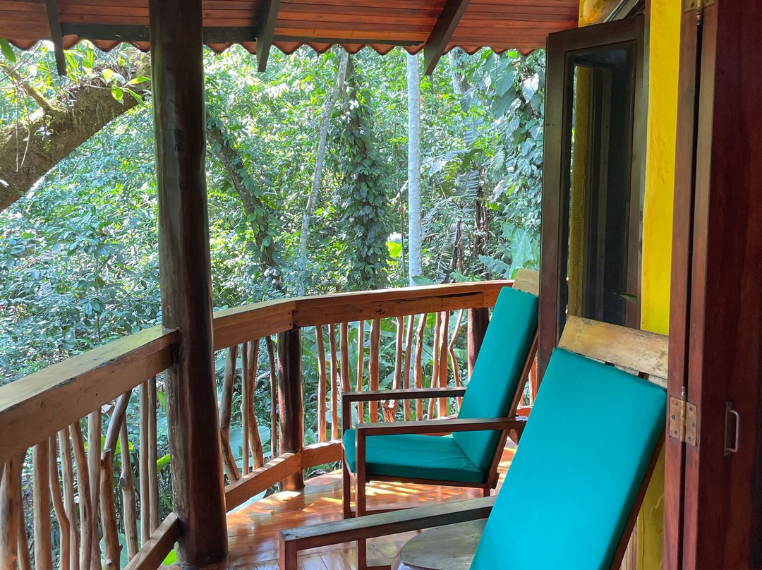 普拉亚尼库伊萨雨林旅馆主图