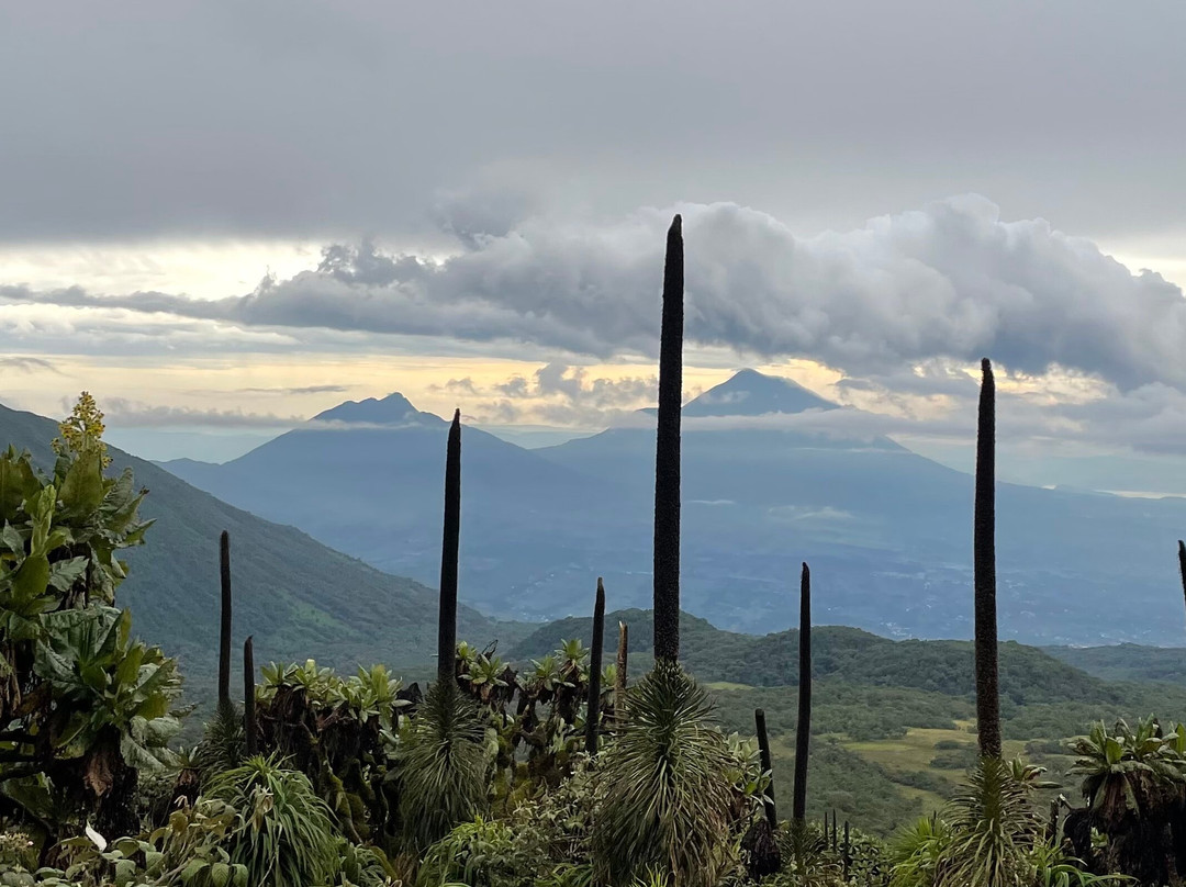 Beyond the Gorillas Experience-Ruhengeri必去景点