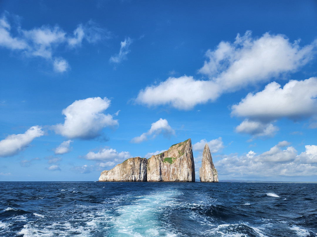 Kajol Lavan Travel, Galapagos Islands-Baltra必去景点