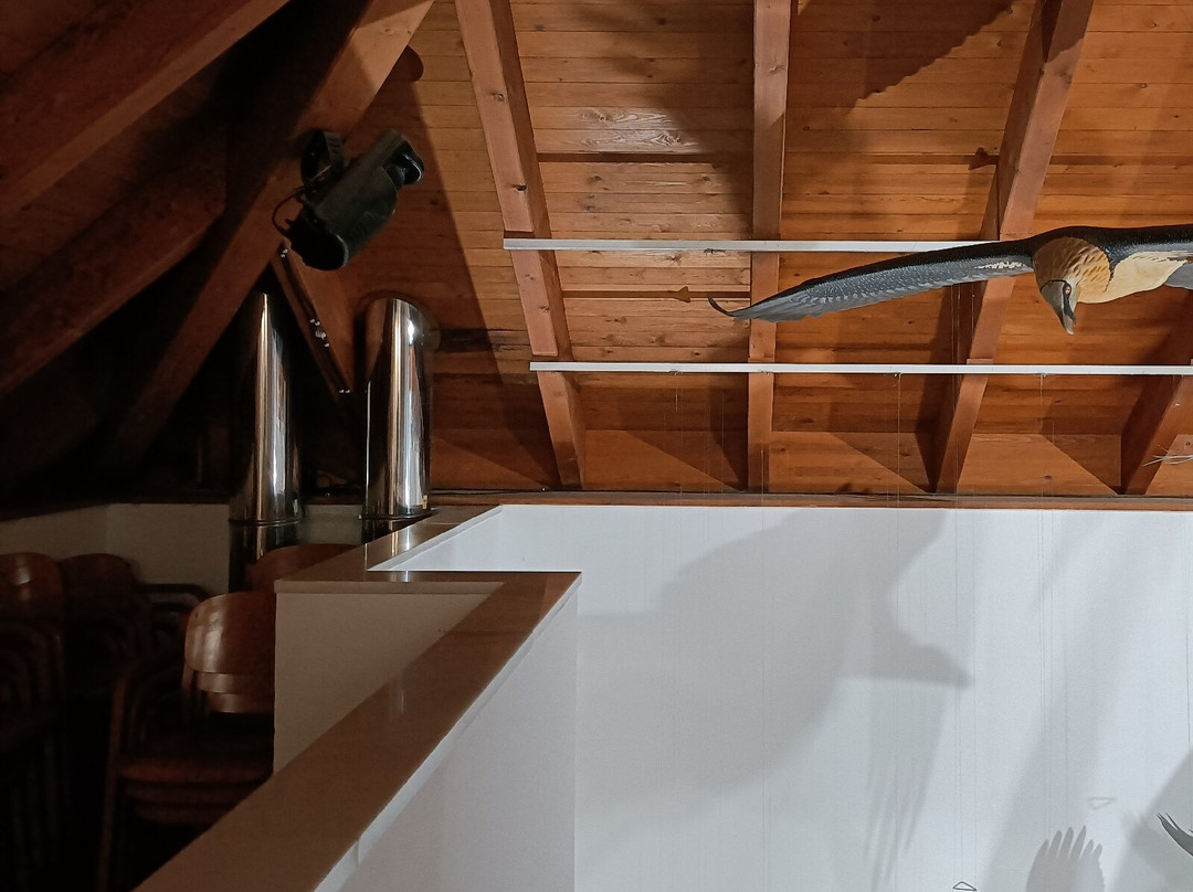 Oficina de Turismo de Roncal