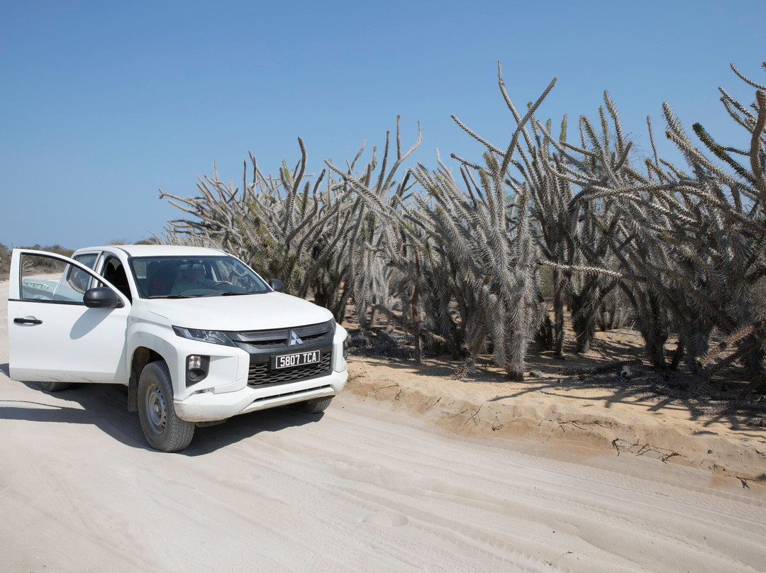 Ramartour Madagascar s.a.r.l.景点图片