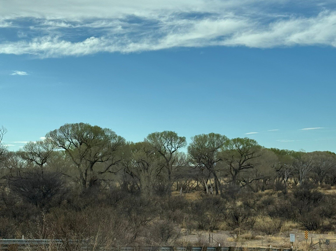 San Pedro Riparian National Conservation Area-谢拉维斯塔必去景点