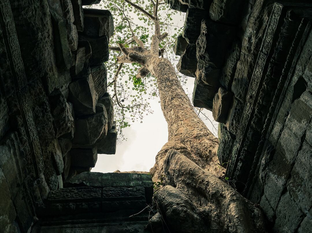 Angkor Photography Tours-暹粒必去景点