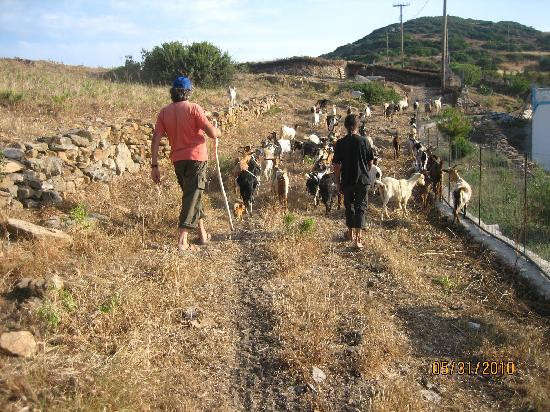 Marathi Island Resort主图