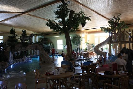 Thumper Pond Resort-酒店景观