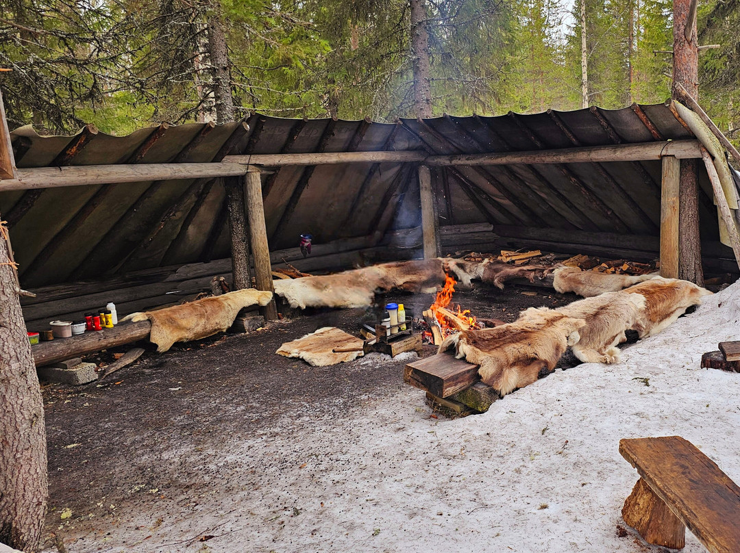 Tatuka Reindeerfarm-Ylitornio必去景点