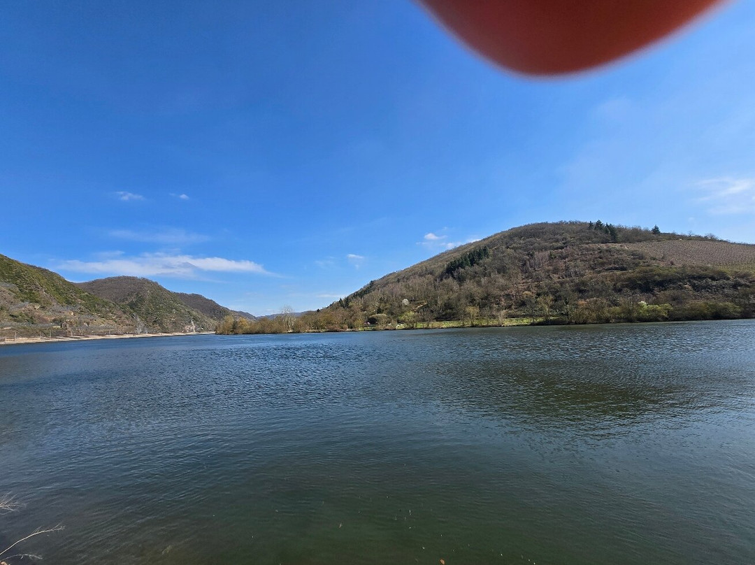 Schloß-hotel Petry主图