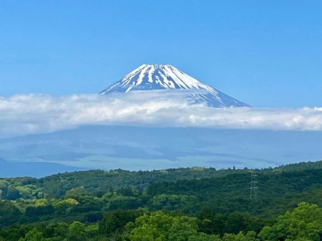 Mishima Skywalk景点图片