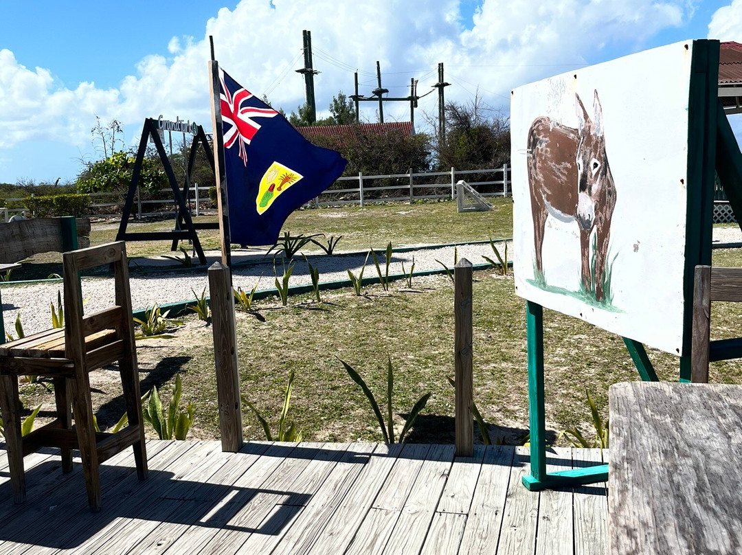 Grand Turk Lighthouse-Cockburn Town必去景点