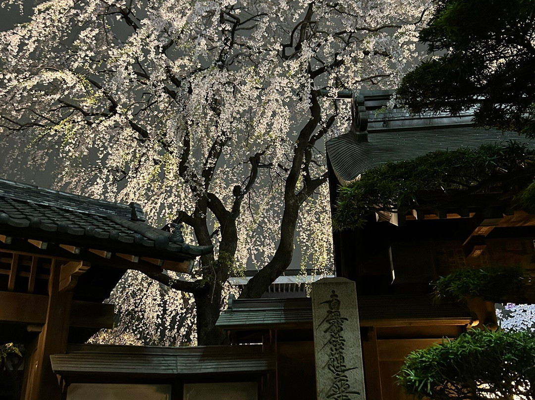 Joenji Temple-Nishishinjuku必去景点