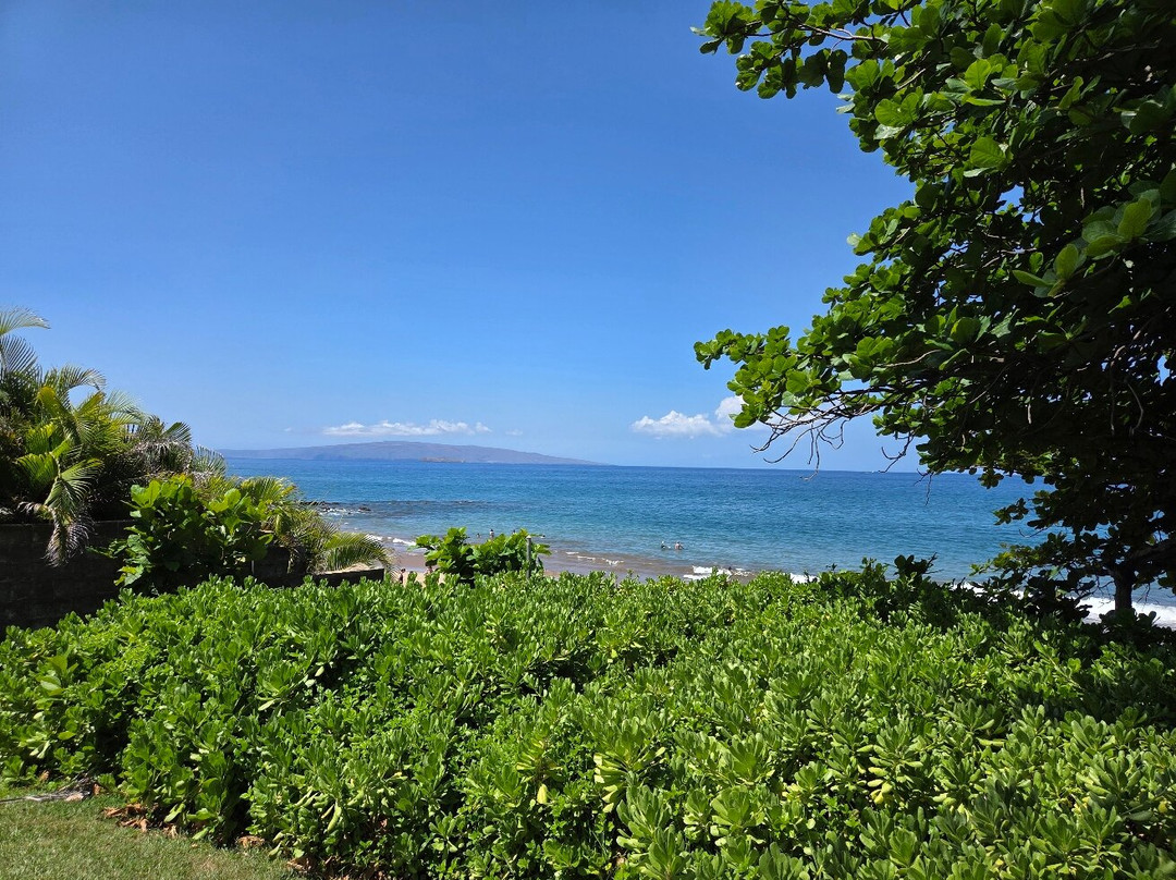 AC Hotel by Marriott Maui Wailea主图