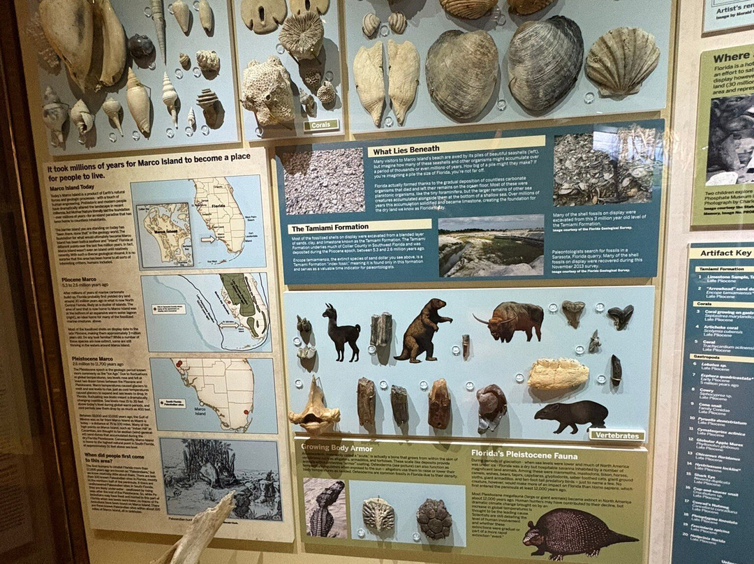 Marco Island Historical Museum景点图片