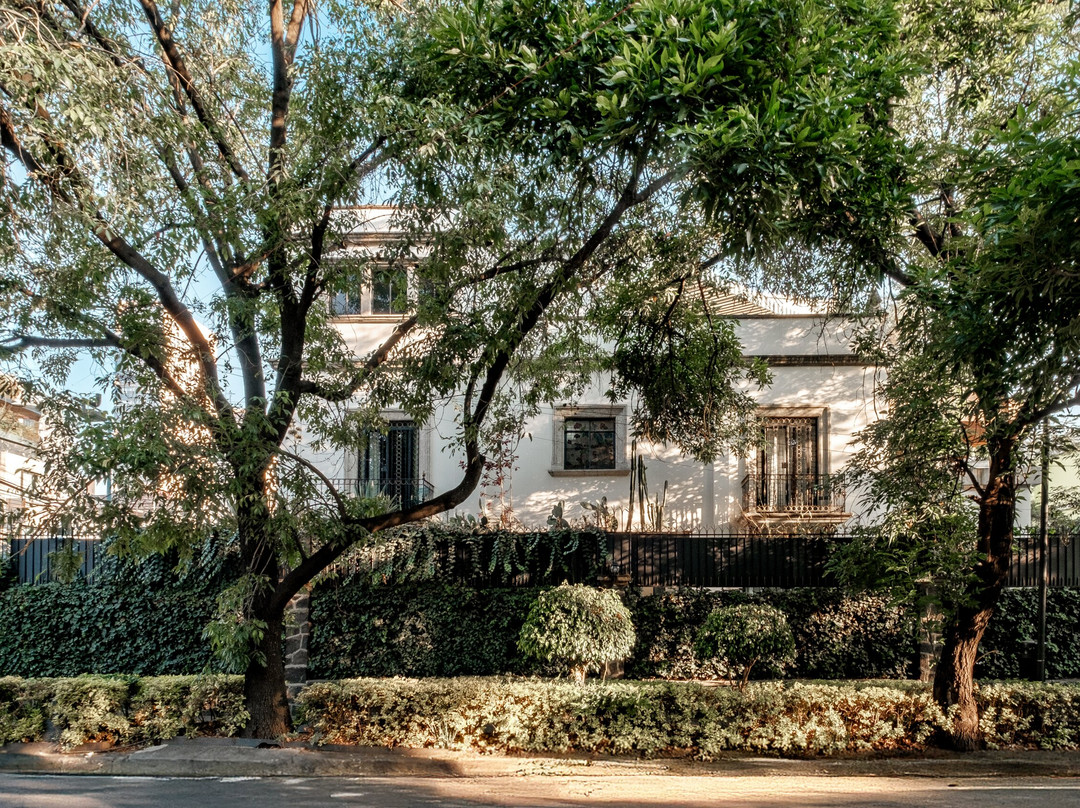 Pug Seal Anatole France