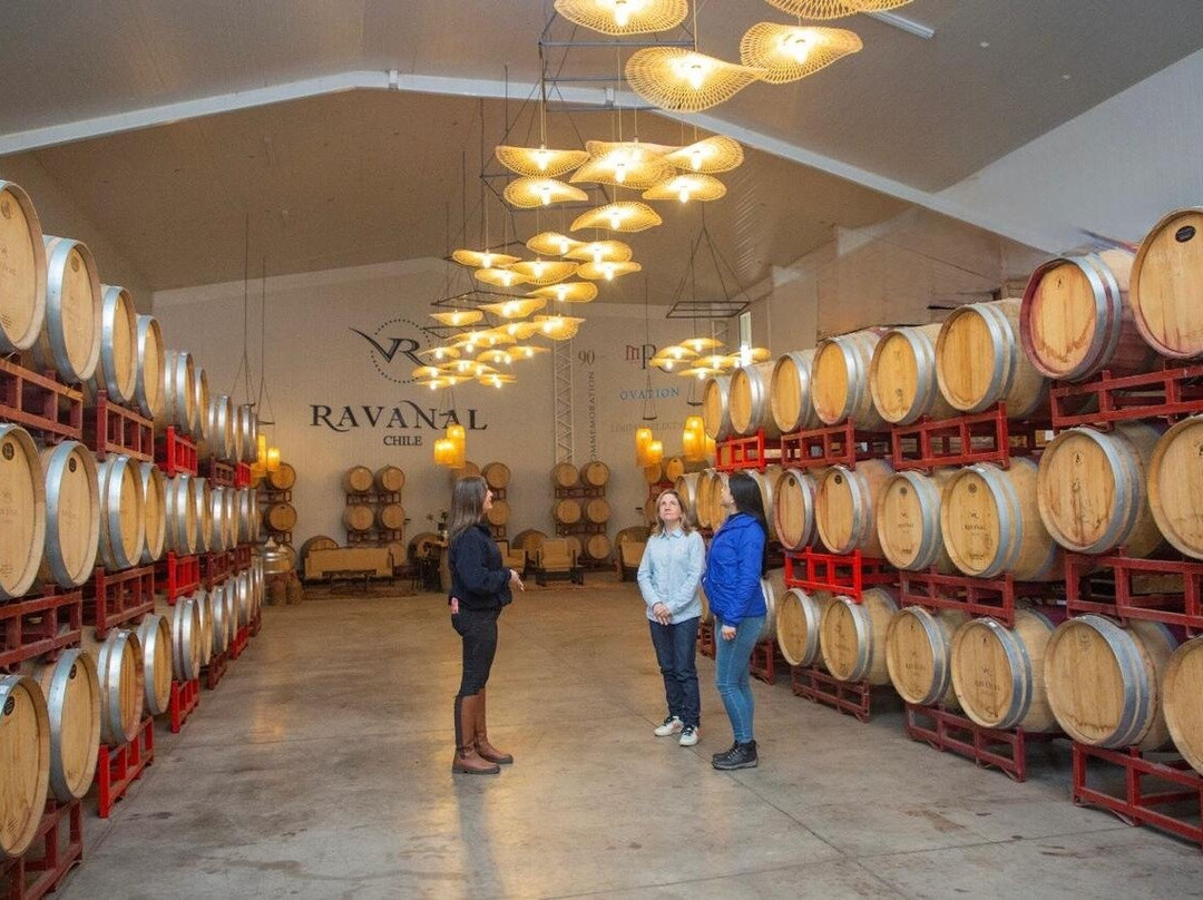 Viña Ravanal