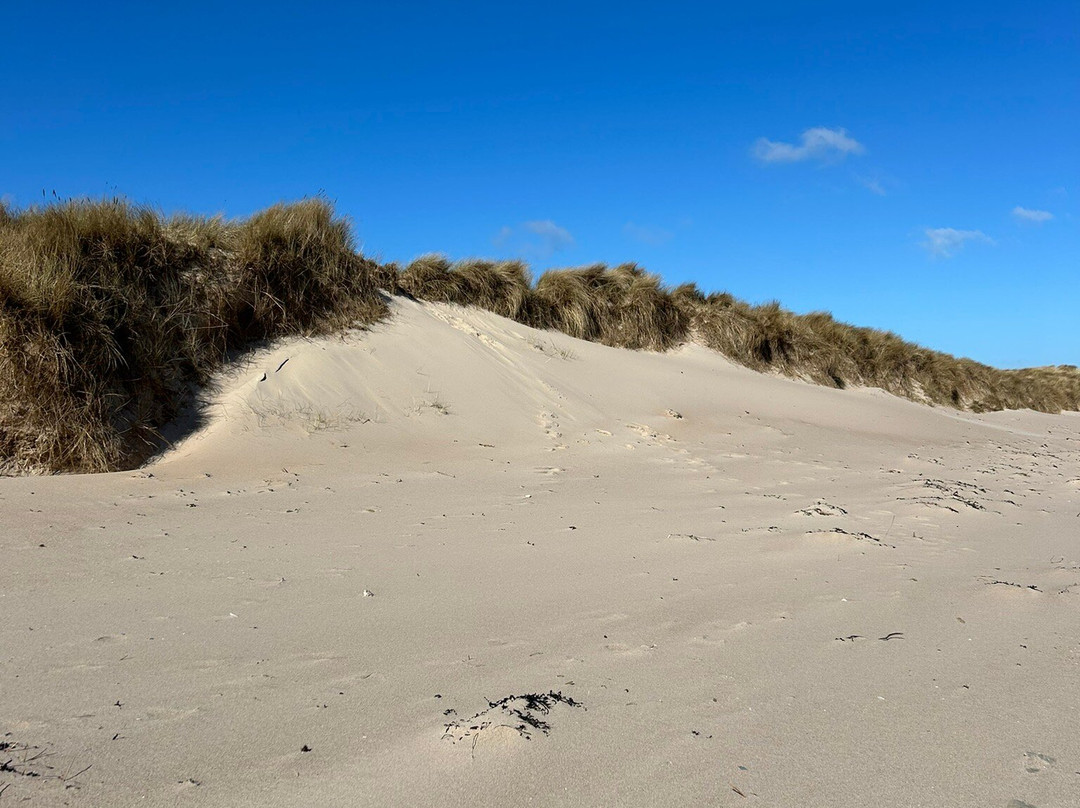 Cresswell Beach景点图片