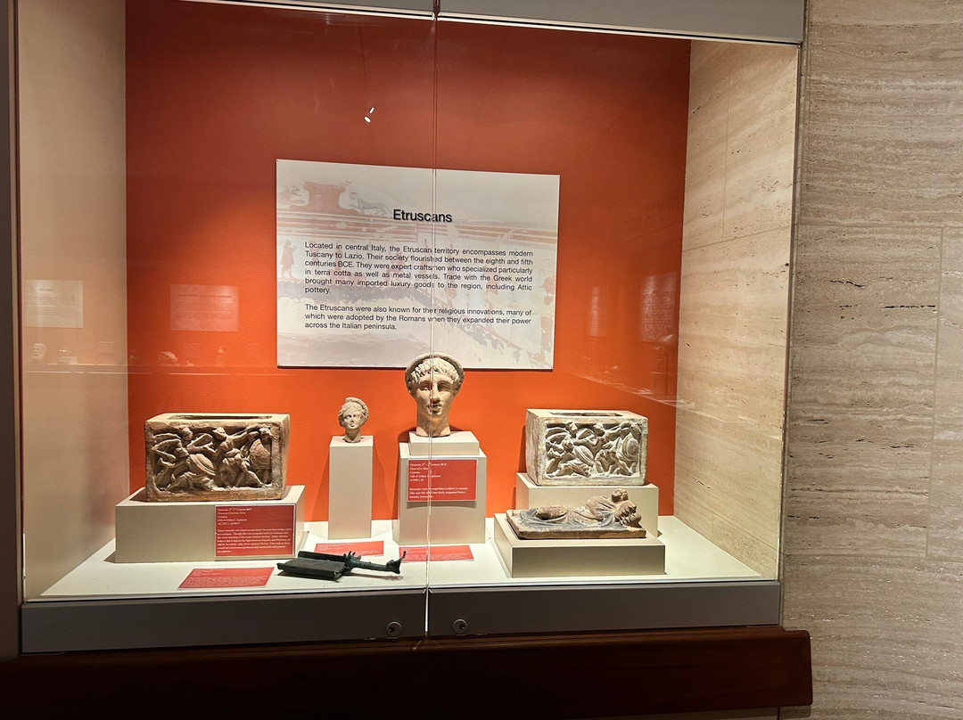 Appleton Museum of Art景点图片
