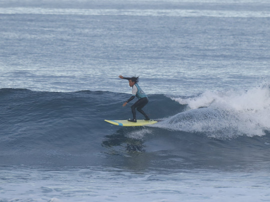 Ocean Life Tenerife-美洲海滩必去景点