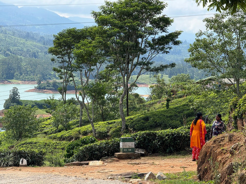 Travel With Tissa-康提必去景点