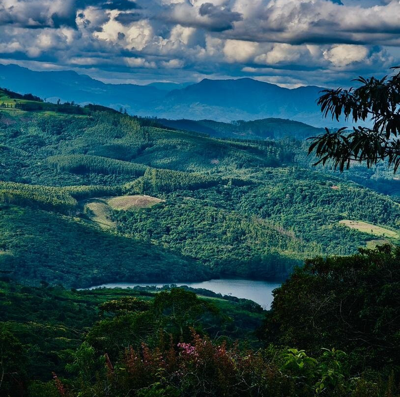 Vumba Botanical Gardens and Reserve景点图片