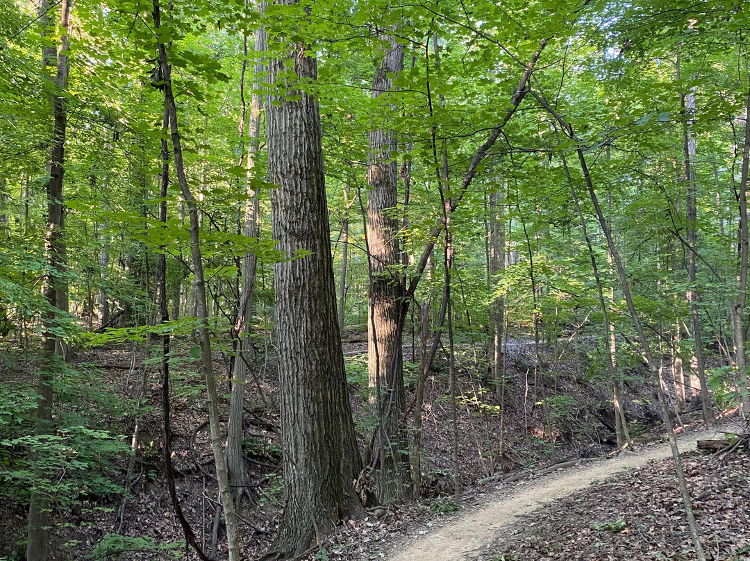 Mill Stream Run Reservation-克利夫兰必去景点
