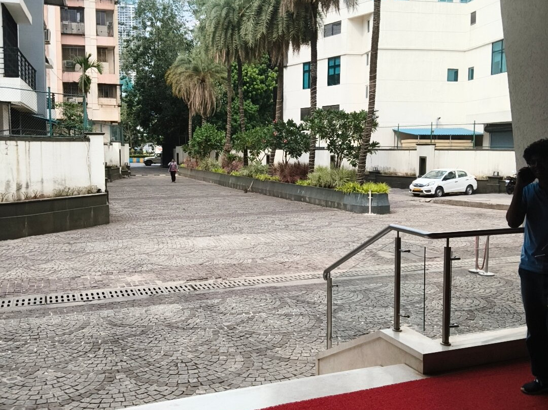 VIhang's Palm Club主图