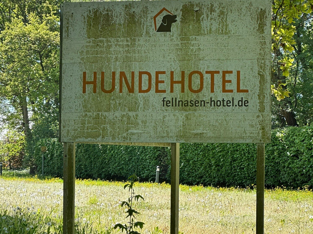 Fellnasen Hotel-Winsen必去景点