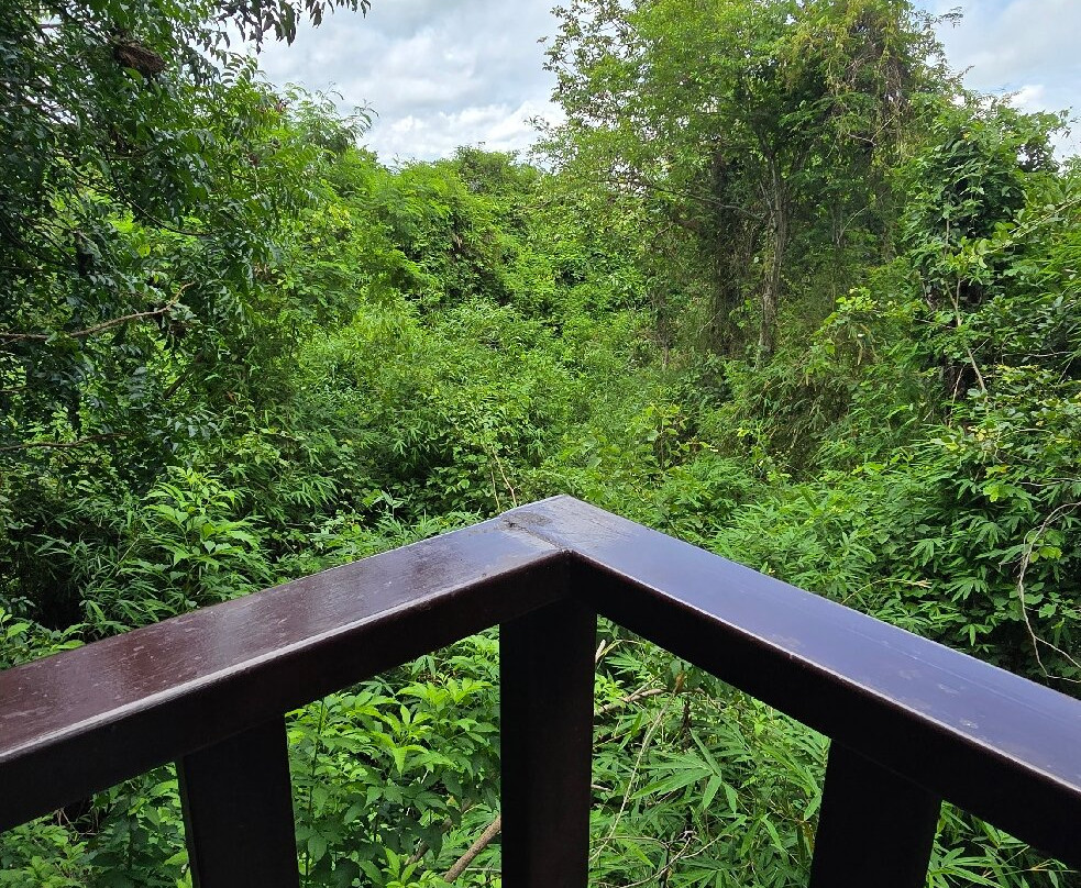 Wat Tham Pha Daen-沙功那空必去景点