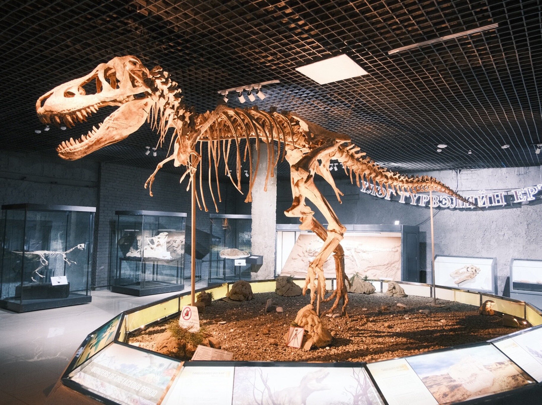 The Natural History Museum Of Mongolia-乌兰巴托必去景点