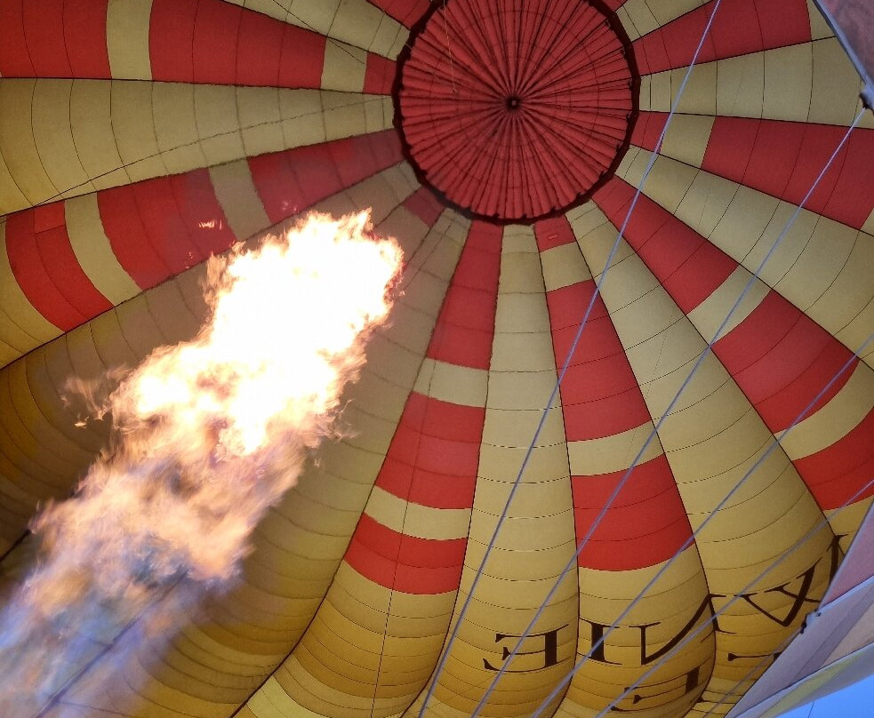 Goldrush Ballooning King Valley-King Valley必去景点